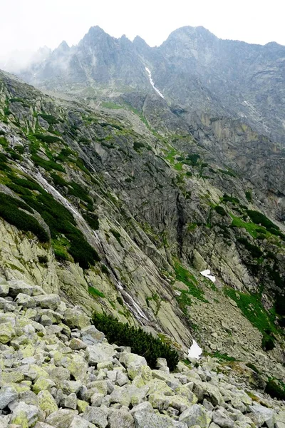 Alto Tatra Montañas Paisajes Bosques Árboles Rocas Plantas Hora Verano — Foto de Stock