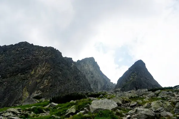 Alto Tatra Montañas Paisajes Bosques Árboles Rocas Plantas Hora Verano —  Fotos de Stock