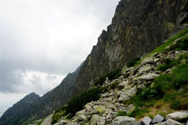 Altas Montanhas Tatra Paisagens Florestas Árvores Rochas Plantas Hora Verão — Fotografia de Stock