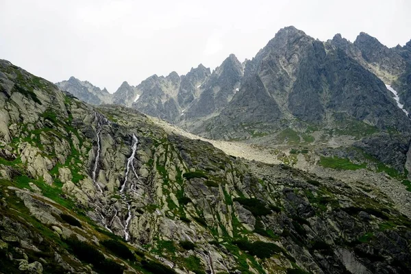 Munții Tatra Înalt Peisaje Păduri Copaci Stânci Plante Timp Vară — Fotografie, imagine de stoc