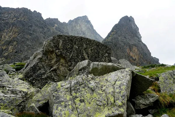 Alto Tatra Montañas Paisajes Bosques Árboles Rocas Plantas Hora Verano — Foto de Stock