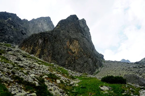 Hoge Tatra Bergen Landschappen Bossen Bomen Rotsen Planten Zomertijd — Stockfoto