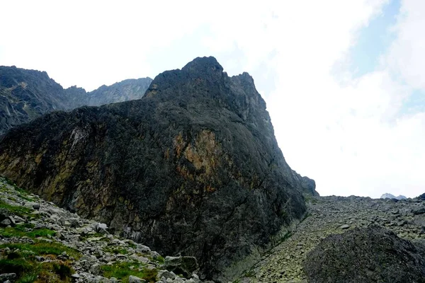 塔特拉山高山景观 岩石和植物 — 图库照片