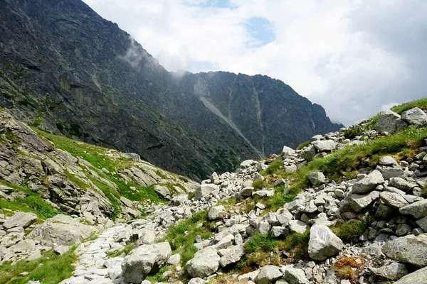 Hautes Montagnes Tatra Paysages Forêts Arbres Rochers Plantes Heure Été — Photo