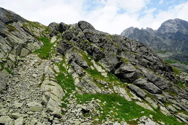 Alto Tatra Montañas Paisajes Bosques Árboles Rocas Plantas Hora Verano — Foto de Stock