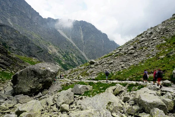 Alto Tatra Montañas Paisajes Bosques Árboles Rocas Plantas Hora Verano —  Fotos de Stock