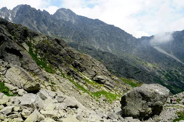 Hautes Montagnes Tatra Paysages Forêts Arbres Rochers Plantes Heure Été — Photo