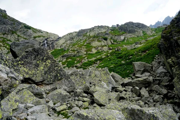 Altas Montanhas Tatra Paisagens Florestas Árvores Rochas Plantas Hora Verão — Fotografia de Stock