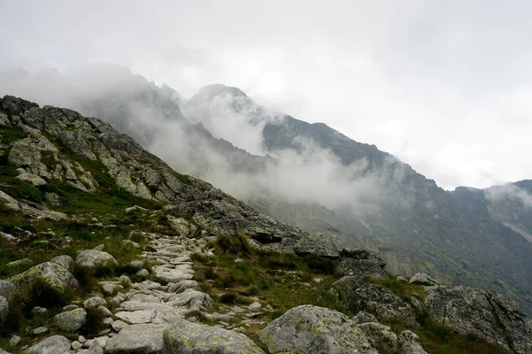 Hohe Tatra Landschaften Wälder Bäume Felsen Und Pflanzen Sommerzeit — Stockfoto