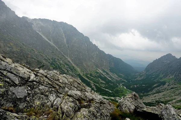 Alto Tatra Montañas Paisajes Bosques Árboles Rocas Plantas Hora Verano —  Fotos de Stock