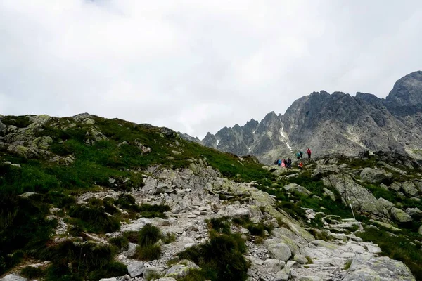 Munții Tatra Înalt Peisaje Păduri Copaci Stânci Plante Timp Vară — Fotografie, imagine de stoc