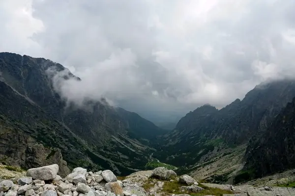 Yüksek Tatra Dağları Manzaraları Ormanlar Ağaçlar Kayalar Bitkiler Yaz Zamanı — Stok fotoğraf