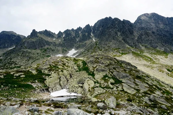Höga Tatrabergen Landskap Skogar Träd Klippor Och Växter Sommartid — Stockfoto