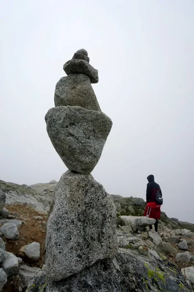 Hoge Tatra Bergen Landschappen Bossen Bomen Rotsen Planten Zomertijd — Stockfoto