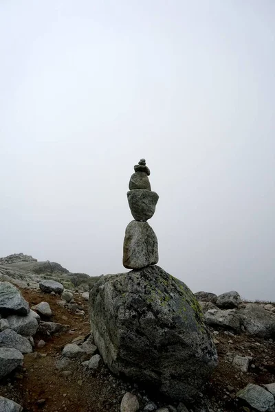 Hoge Tatra Bergen Landschappen Bossen Bomen Rotsen Planten Zomertijd — Stockfoto