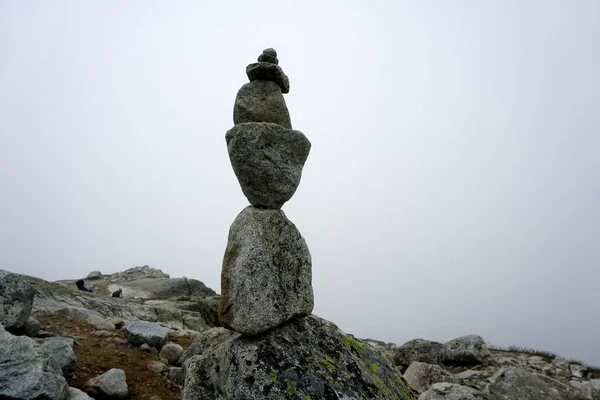 Alto Tatra Montañas Paisajes Bosques Árboles Rocas Plantas Hora Verano — Foto de Stock