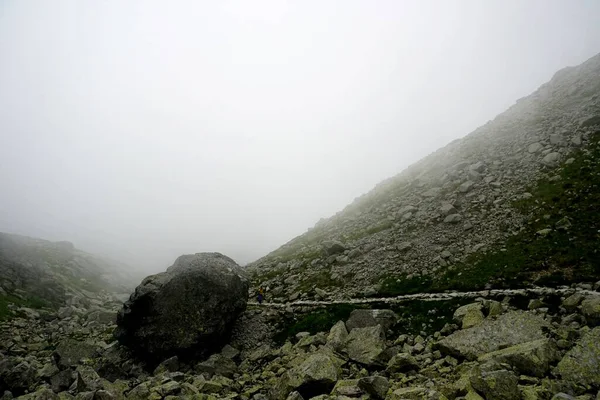 Alto Tatra Montañas Paisajes Bosques Árboles Rocas Plantas Hora Verano — Foto de Stock