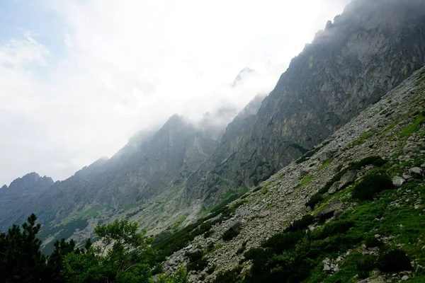 Ψηλά Βουνά Tatra Τοπία Δάση Δέντρα Βράχους Και Φυτά Θερινή — Φωτογραφία Αρχείου