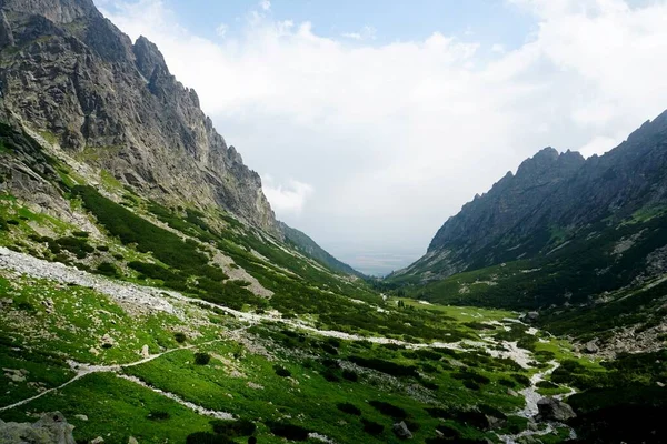 Hautes Montagnes Tatra Paysages Forêts Arbres Rochers Plantes Heure Été — Photo