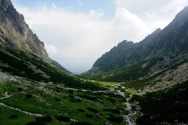 Hoge Tatra Bergen Landschappen Bossen Bomen Rotsen Planten Zomertijd — Stockfoto