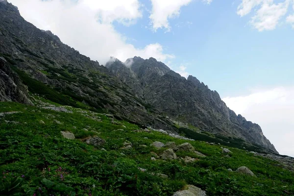 Yüksek Tatra Dağları Manzaraları Ormanlar Ağaçlar Kayalar Bitkiler Yaz Zamanı — Stok fotoğraf