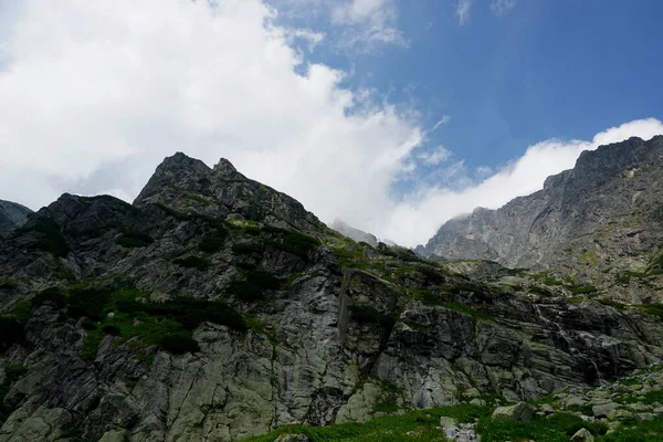 Ψηλά Βουνά Tatra Τοπία Δάση Δέντρα Βράχους Και Φυτά Θερινή — Φωτογραφία Αρχείου