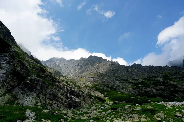 高タトラ山の風景 岩や植物 夏時間 — ストック写真