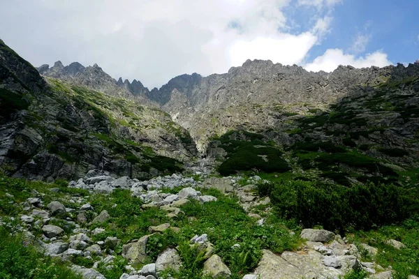 Altas Montanhas Tatra Paisagens Florestas Árvores Rochas Plantas Hora Verão — Fotografia de Stock