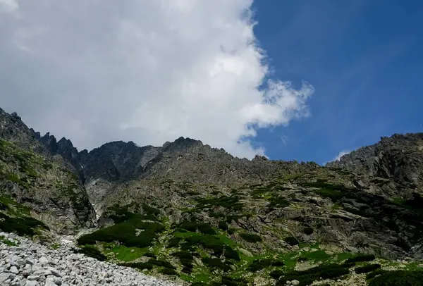 Високі Татранські Гори Пейзажі Ліси Дерева Скелі Рослини Літній Час — стокове фото