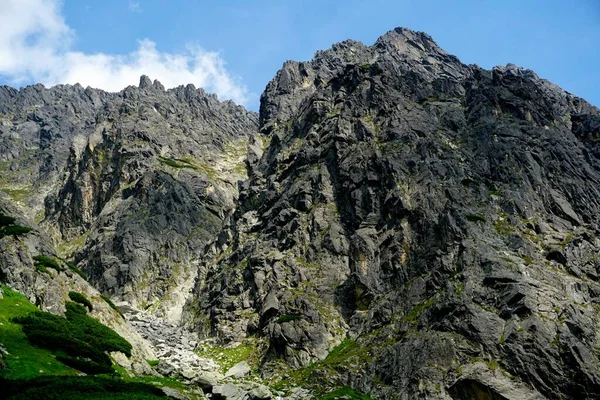 Alto Tatra Montañas Paisajes Bosques Árboles Rocas Plantas Hora Verano — Foto de Stock