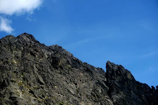 Alto Tatra Montañas Paisajes Bosques Árboles Rocas Plantas Hora Verano — Foto de Stock