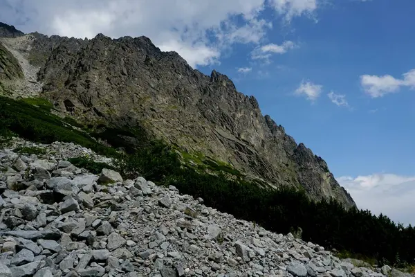 Høje Tatra Bjerge Landskaber Skove Træer Klipper Planter Sommertid - Stock-foto
