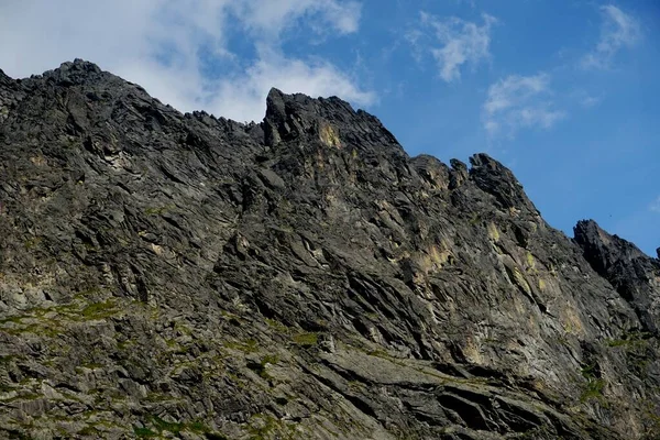 Alto Tatra Montañas Paisajes Bosques Árboles Rocas Plantas Hora Verano — Foto de Stock