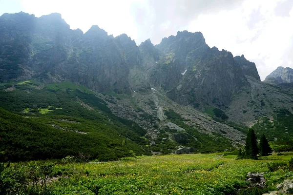 Alto Tatra Montañas Paisajes Bosques Árboles Rocas Plantas Hora Verano — Foto de Stock