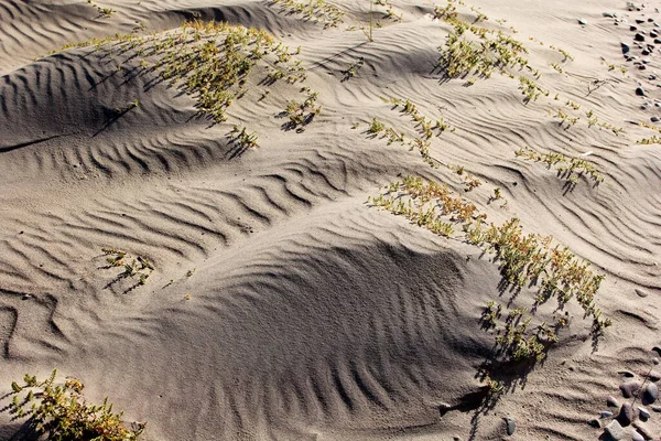 Nahaufnahme Von Sand Hintergrundstruktur Sand Textur Meer Sand Der Grasmeerküste — Stockfoto