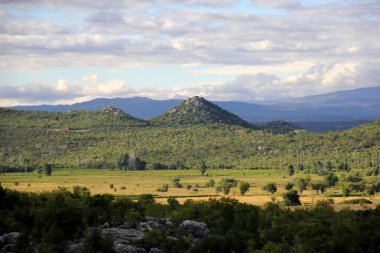 Bahçe, bahçeler ve Neretva nehrinin deltasındaki tarlalar. Dalmaçya, Hırvatistan