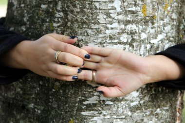 Kadının elleri ağaç gövdesinin etrafını sarmış. Parmakları birleştirin. Ağaç kabuğuna karşı insan eli. 