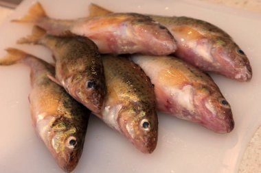 Beyaz mutfak tahtasındaki taze balık Avrasya Ruffe (Gymnocephalus cernuus). 