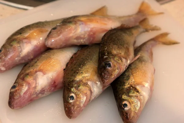 Pescado Fresco Eurasian Ruffe Gymnocephalus Cernuus Una Tabla Blanca Cocina —  Fotos de Stock