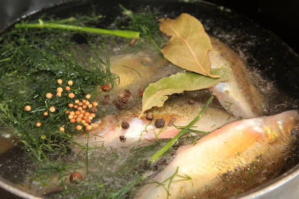 Preparação Sopa Peixe Peixe Ruffe Gymnocephalus Cernuus Com Temperos — Fotografia de Stock