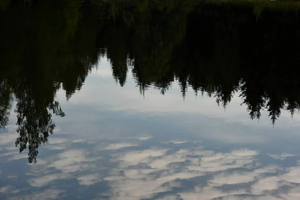 Dunkler Wald Und Himmel Die Sich Ruhigen Wasser Spiegeln Reflexion — Stockfoto