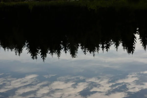 Темний Ліс Небо Відображаються Спокійній Воді Відбиття Воді Ефект Дзеркала — стокове фото