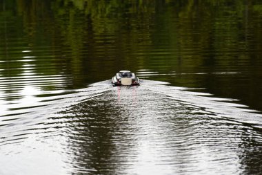 Nitaure, Letonya 5 Haziran 2021: Suyun üzerinde sazan yemi ile balık tutmak için GPS yemi teknesi