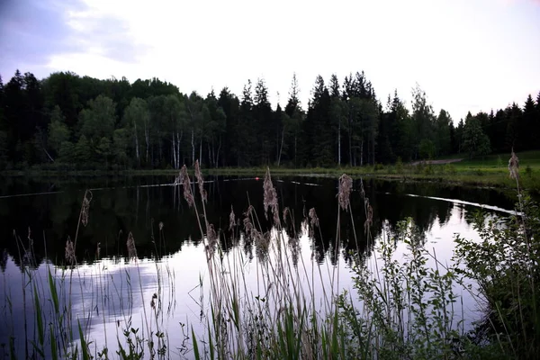 Nitaure Lettonia Giugno 2021 Gps Esca Pesca Con Esche Carpe — Foto Stock