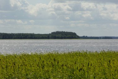 Yeşil tepeli göl, güneşli yaz günü gökyüzünde bulutlar, Letonya 'da Usma Gölü 