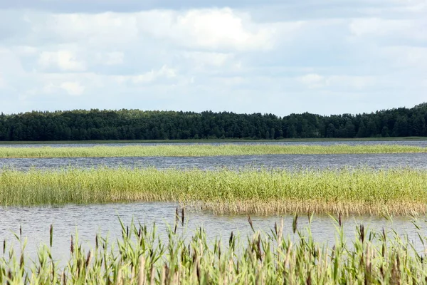 Yeşil tepeli göl, güneşli yaz günü gökyüzünde bulutlar, Letonya 'da Usma Gölü 