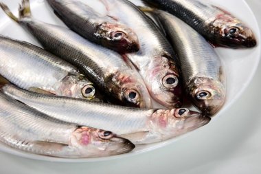 Beyaz arka planda beyaz bir tabakta bir sürü Baltık ringa Clupea harengus membraları