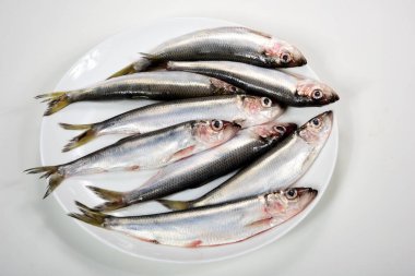 Beyaz arka planda beyaz bir tabakta bir sürü Baltık ringa Clupea harengus membraları