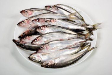 Beyaz arka planda beyaz bir tabakta bir sürü Baltık ringa Clupea harengus membraları