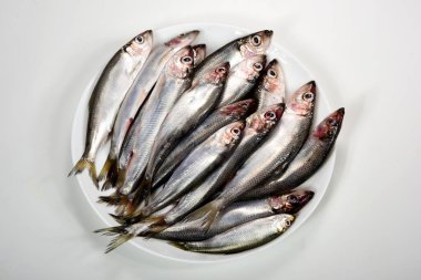 Beyaz arka planda beyaz bir tabakta bir sürü Baltık ringa Clupea harengus membraları